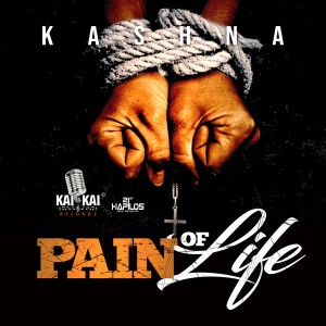 收聽Kashna的Pain of Life (Radio Edit)歌詞歌曲