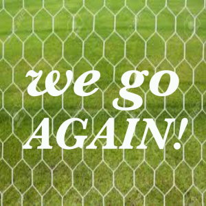 收听T. Rex的Get It On歌词歌曲