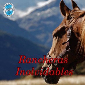 Listen to Tomando Mes y Medio song with lyrics from Las Estrellas De Oriente