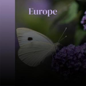 Listen to Displace My song with lyrics from Besard