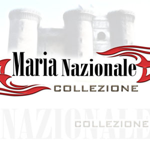 ดาวน์โหลดและฟังเพลง Ahi ahi ahi พร้อมเนื้อเพลงจาก Maria Nazionale