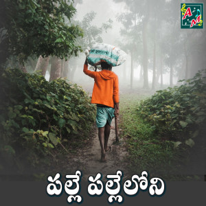 Listen to Palle Pallelloni song with lyrics from Kannam Srinivas