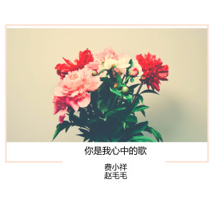 Listen to 你是我心中的歌 song with lyrics from 关东阿宝