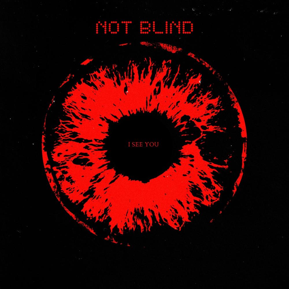 Not Blind