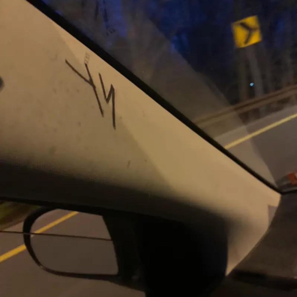 Wolfish Spiutzens (Explicit)