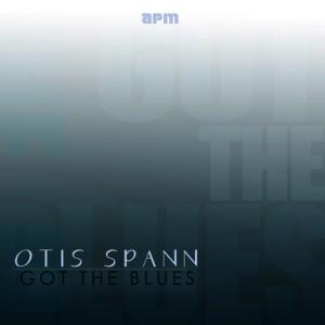 ดาวน์โหลดและฟังเพลง Monkey Face Woman พร้อมเนื้อเพลงจาก Otis Spann
