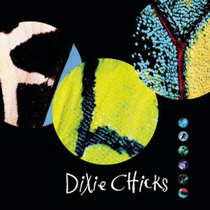 ดาวน์โหลดและฟังเพลง Let Him Fly พร้อมเนื้อเพลงจาก The Chicks