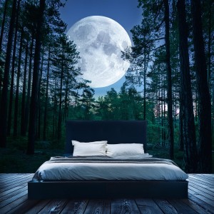 ดาวน์โหลดและฟังเพลง Mareas De Descanso Melódico พร้อมเนื้อเพลงจาก Luna de armonía