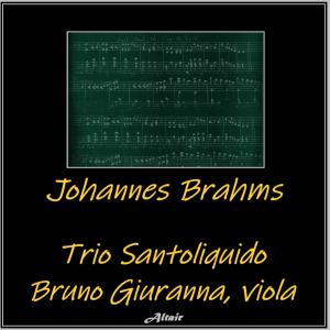 收聽Trio Santoliquido的Piano Quartet NO. 1 in G Minor, Op. 25: IV. Rondo all Zingarese. Presto歌詞歌曲