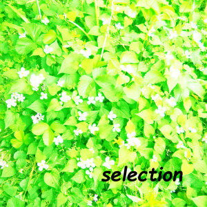 Listen to Digital Passion song with lyrics from amaamagaeru