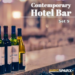 Album Contemporary Hotel Bar, Set 9 from Various Artists