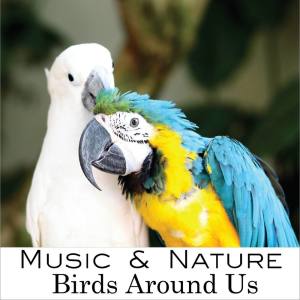 Album Birds Around Us from Music & Nature