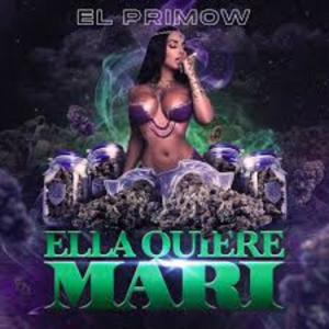 อัลบัม Ella Quiere Mari (Explicit) ศิลปิน El Primow