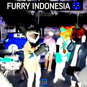 Listen to Furry Indonesia song with lyrics from rrafizzz