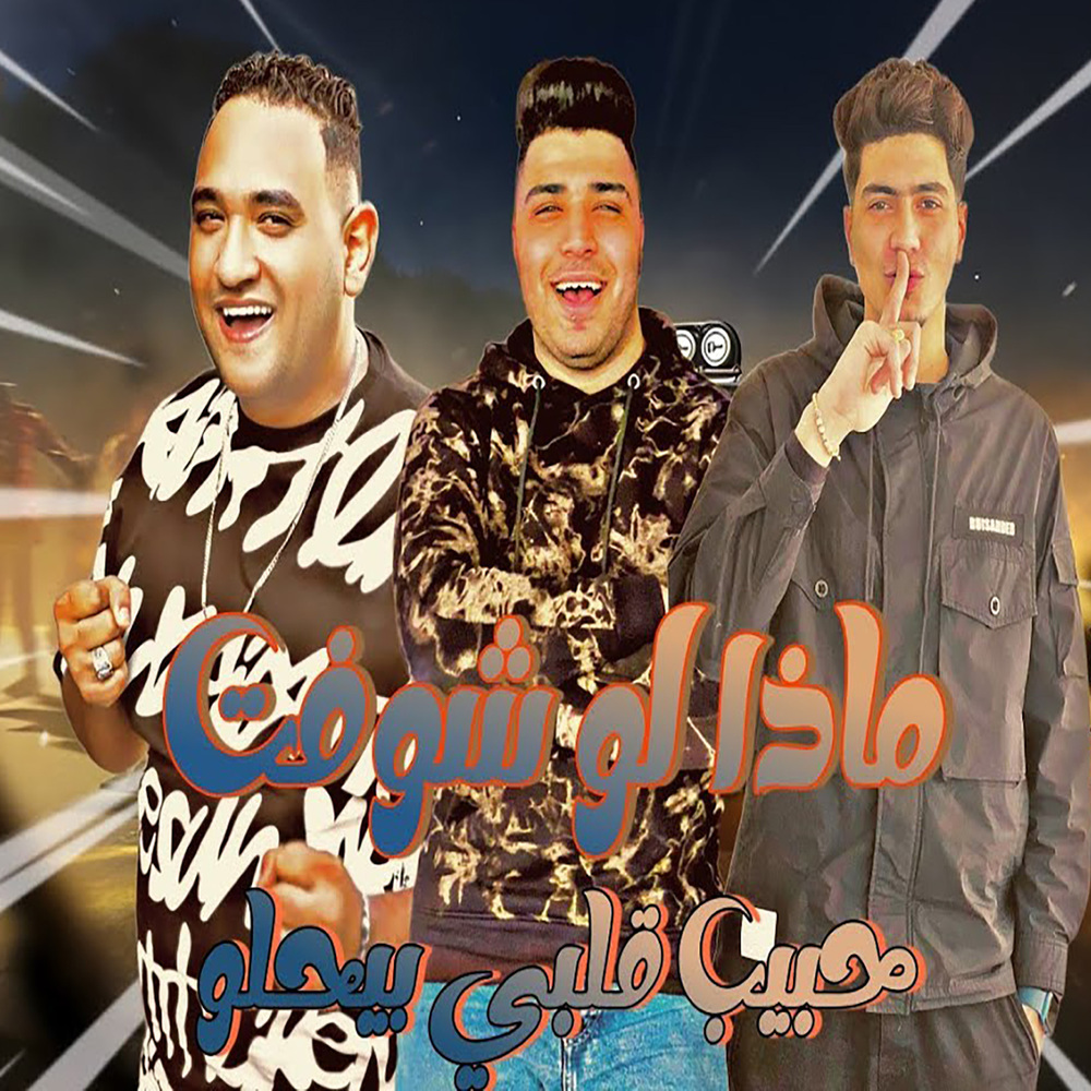 ماذا لو شوفت حبيبى قلبى