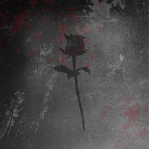 Listen to all my fault (Explicit) song with lyrics from guccihighwaters