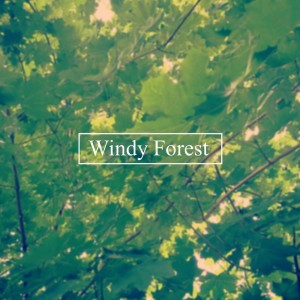 收聽BigRicePiano的Windy Forest歌詞歌曲