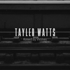 ดาวน์โหลดและฟังเพลง Without Reason พร้อมเนื้อเพลงจาก Tayler Watts