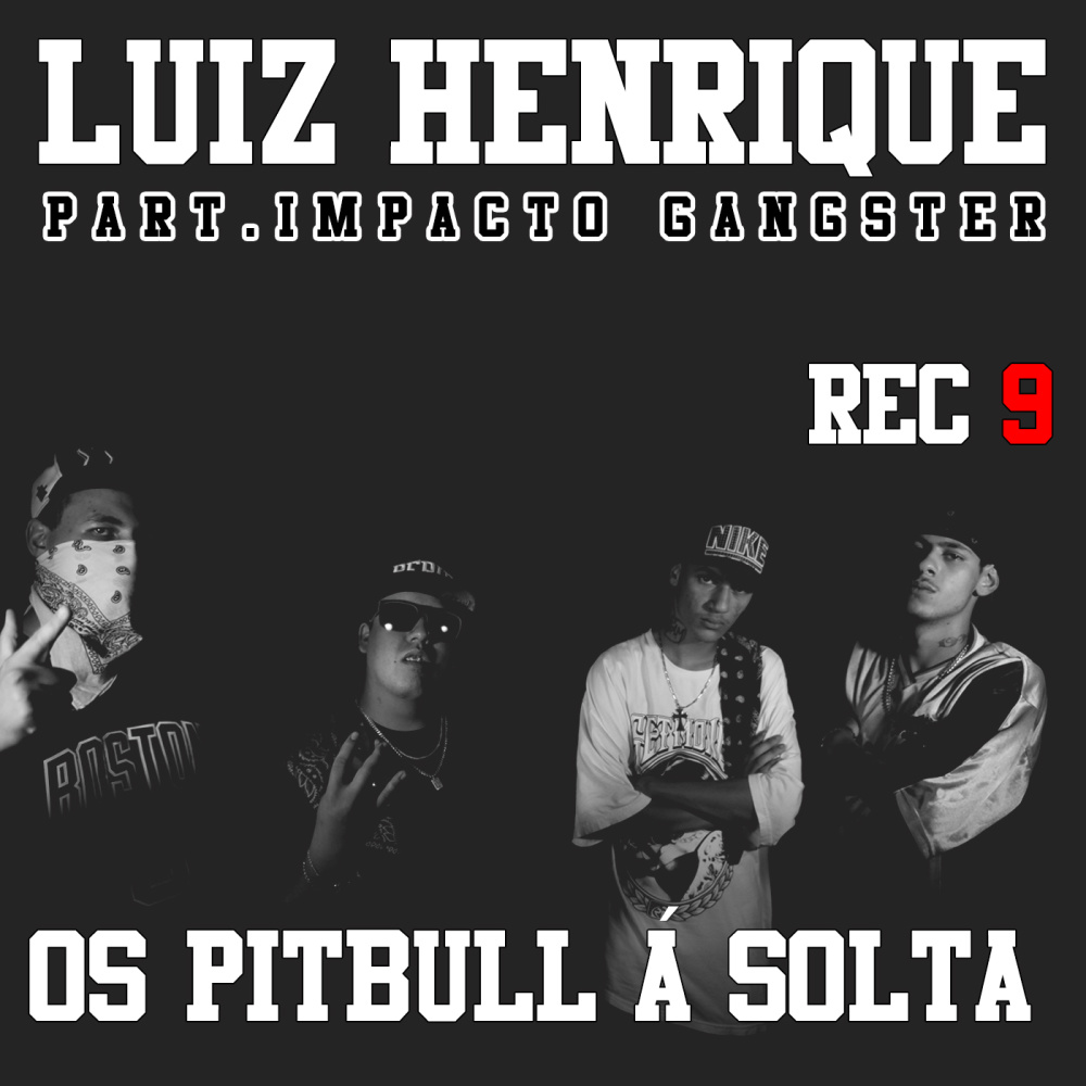 Os Pitbull Á Solta