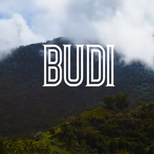 Listen to Budi song with lyrics from Midnasty