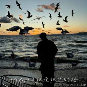 Album 一个人也可以走很远的路 from Wy