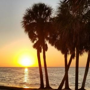 ดาวน์โหลดและฟังเพลง Easy พร้อมเนื้อเพลงจาก Relaxing Music