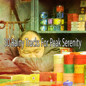 收听Relaxing Rain Sounds的Saved by the Rain.歌词歌曲