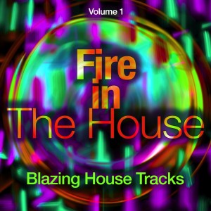 Listen to Come Back to Kiss Me (Blondes & Beach Mix) song with lyrics from Frank Mantero