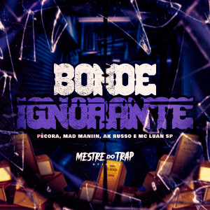 ดาวน์โหลดและฟังเพลง Bonde Ignorante พร้อมเนื้อเพลงจาก Pecora
