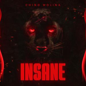 Chino Molina的專輯Hasta Abajo (feat.pacifier)