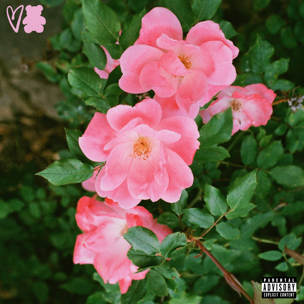 PYT (Explicit)