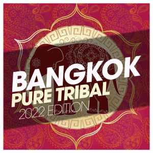Dengarkan Tales From Rio (Tribal Mix) lagu dari SAINT MARTIN dengan lirik