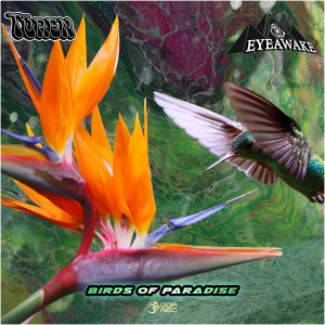 ดาวน์โหลดและฟังเพลง Birds of Paradise (Original Mix) พร้อมเนื้อเพลงจาก EYEawake