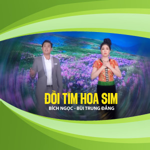 收聽Bich Ngọc的Đồi Tím Hoa Sim歌詞歌曲
