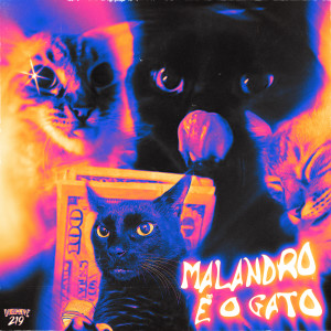 收聽Rcd的Malandro É o Gato歌詞歌曲