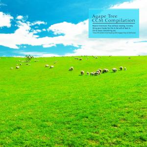 Album Time Of Comfort And Healing With Agape Tree (CCM Piano) oleh Various Artists
