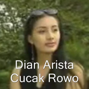Dian Arista的专辑Cucak Rowo