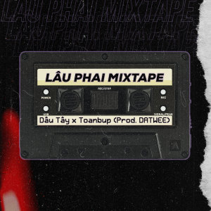 Listen to Lâu Phai Mixtape song with lyrics from Dâu Tây