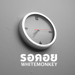 Album รอคอย (Explicit) from WhiteMonkey