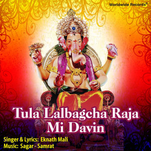 Album Tula Lalbagcha Raja Mi Davin from 
