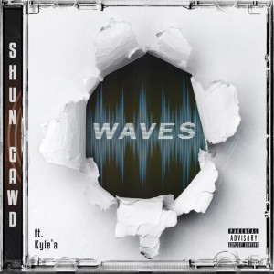 Album Waves (Explicit) from Shun Gawd
