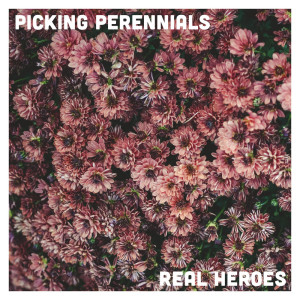 Album Picking Perennials from Real Heroes