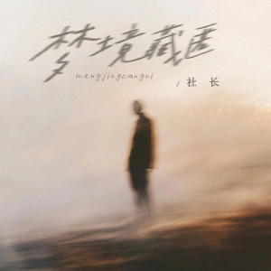 Listen to 梦境藏匿 song with lyrics from 社长