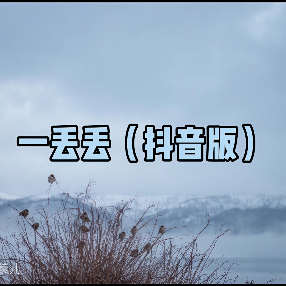 一封情书 (抖音版)