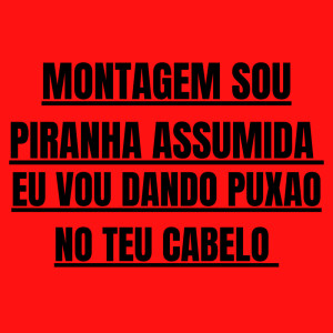 Album Montagem Sou Piranha Assumida Eu Vou Dando Puxao no Teu Cabelo (Explicit) from DJ JB BEAT