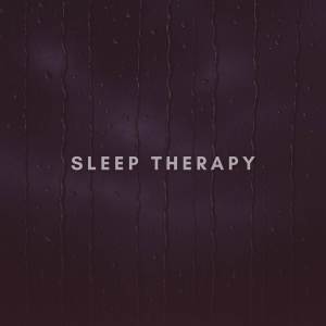 SleepTherapy的專輯Rainfall on Quiet City Streets