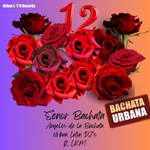 Album 12 Rosas (Bachata Urbana) oleh Urban Latin DJ's