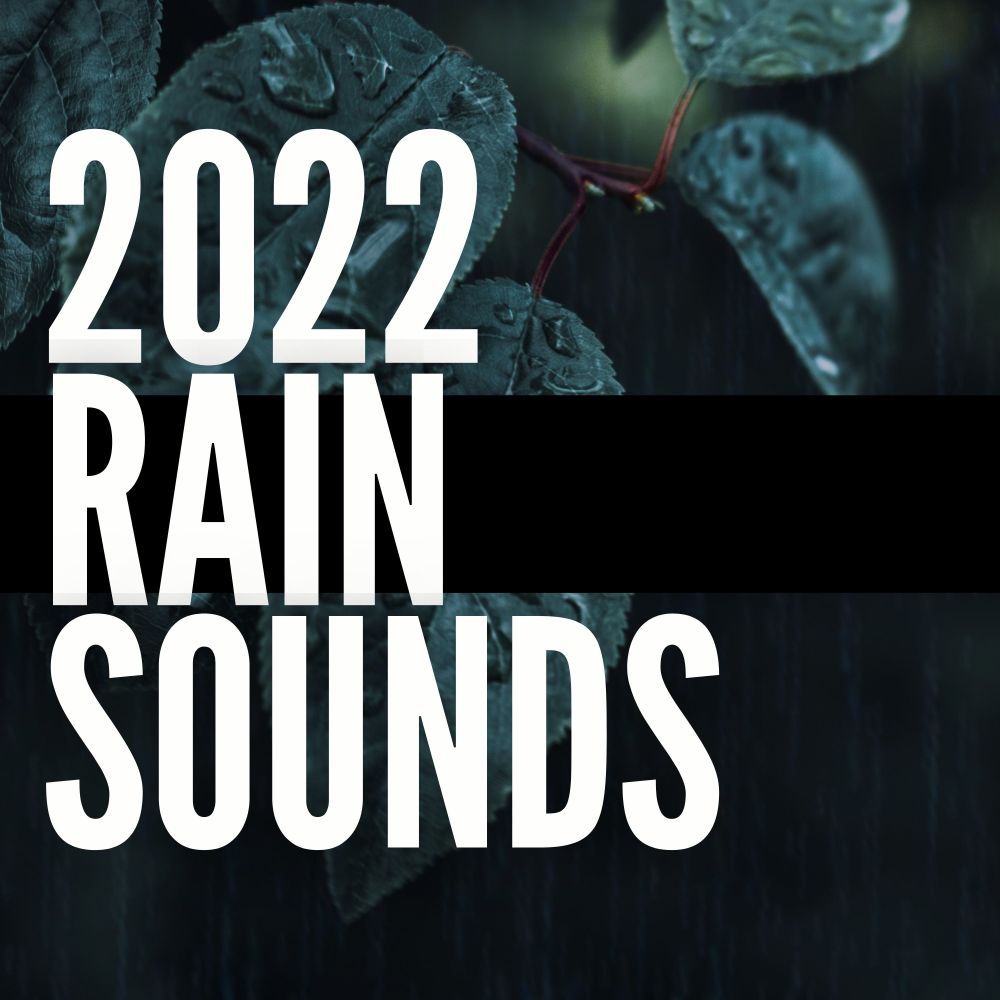 2022 Rain Sounds, Pt. 30