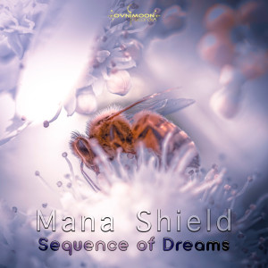 收聽Mana Shield的Maze - Nightmare歌詞歌曲