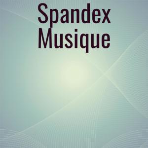 Album Spandex Musique from Various